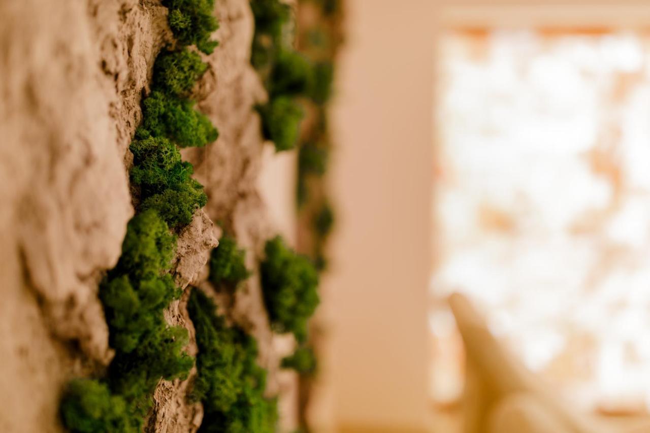 Muller Hotel Boutique & Spa Galaţi Εξωτερικό φωτογραφία